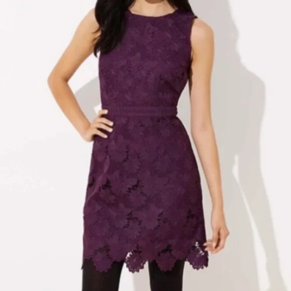 Loft Aubergine Scalloped Lace Dress